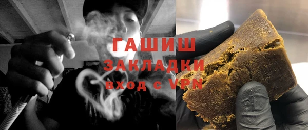 индика Кулебаки