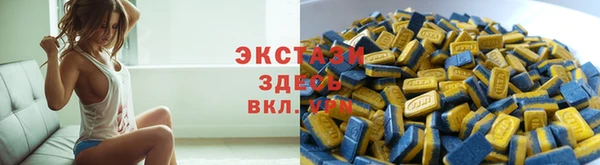 индика Кулебаки