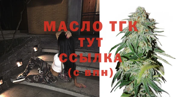 крисы Коряжма