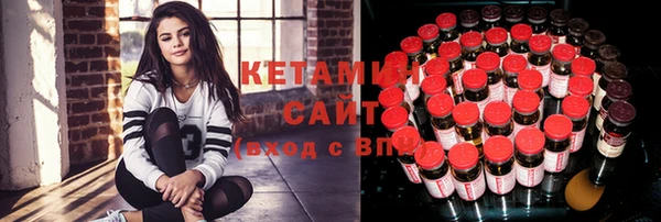 индика Кулебаки