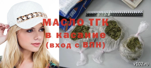 индика Кулебаки