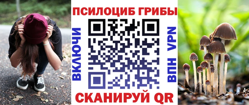 Псилоцибиновые грибы мицелий Курчатов