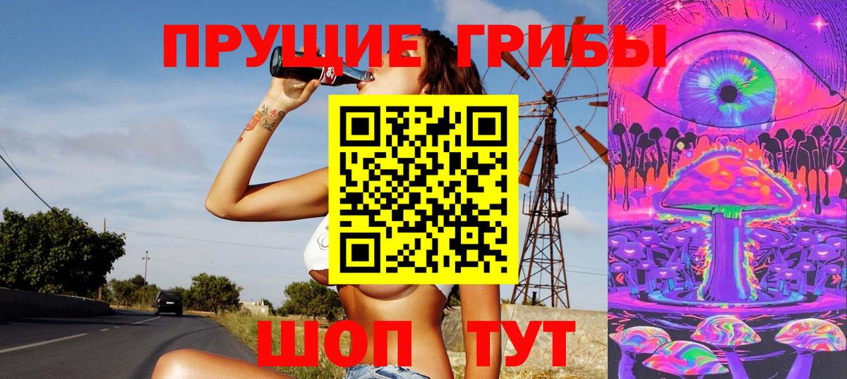 Галлюциногенные грибы прущие грибы  Вход с VPN  Курчатов  Галлюциногенные грибы Cubensis 